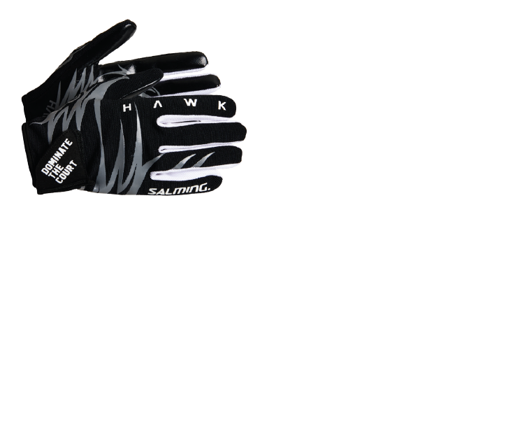 HAWK GOALIE GLOVES