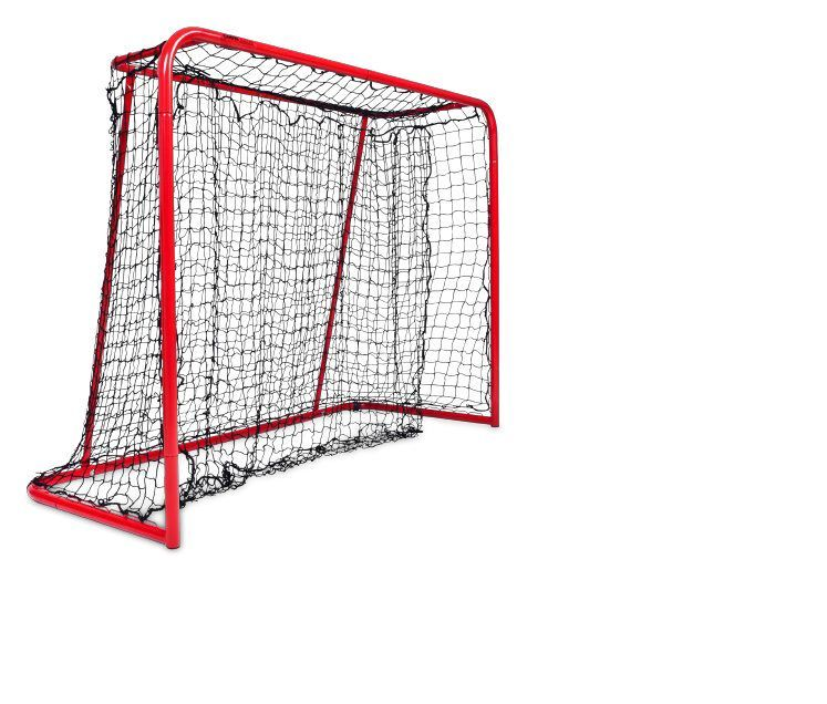 CAMPUS GOAL 1600 CAGE